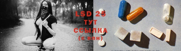 дживик Богданович