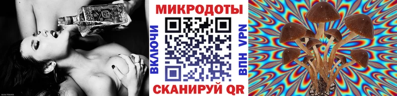 мориарти телеграм  Кубинка  Галлюциногенные грибы Cubensis 
